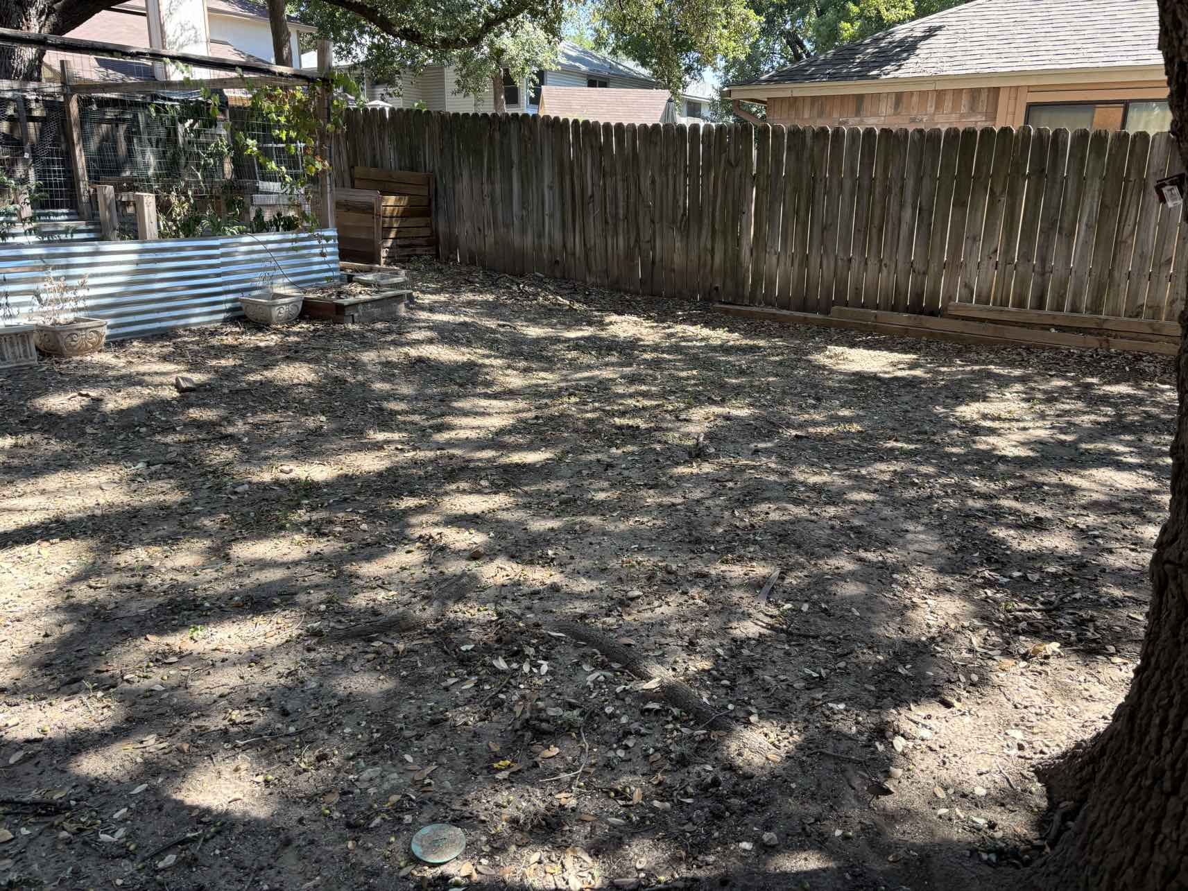 Same backyard fully cleared of weeds and debris after professional yard cleanup by Urban Landscaping San Antonio
