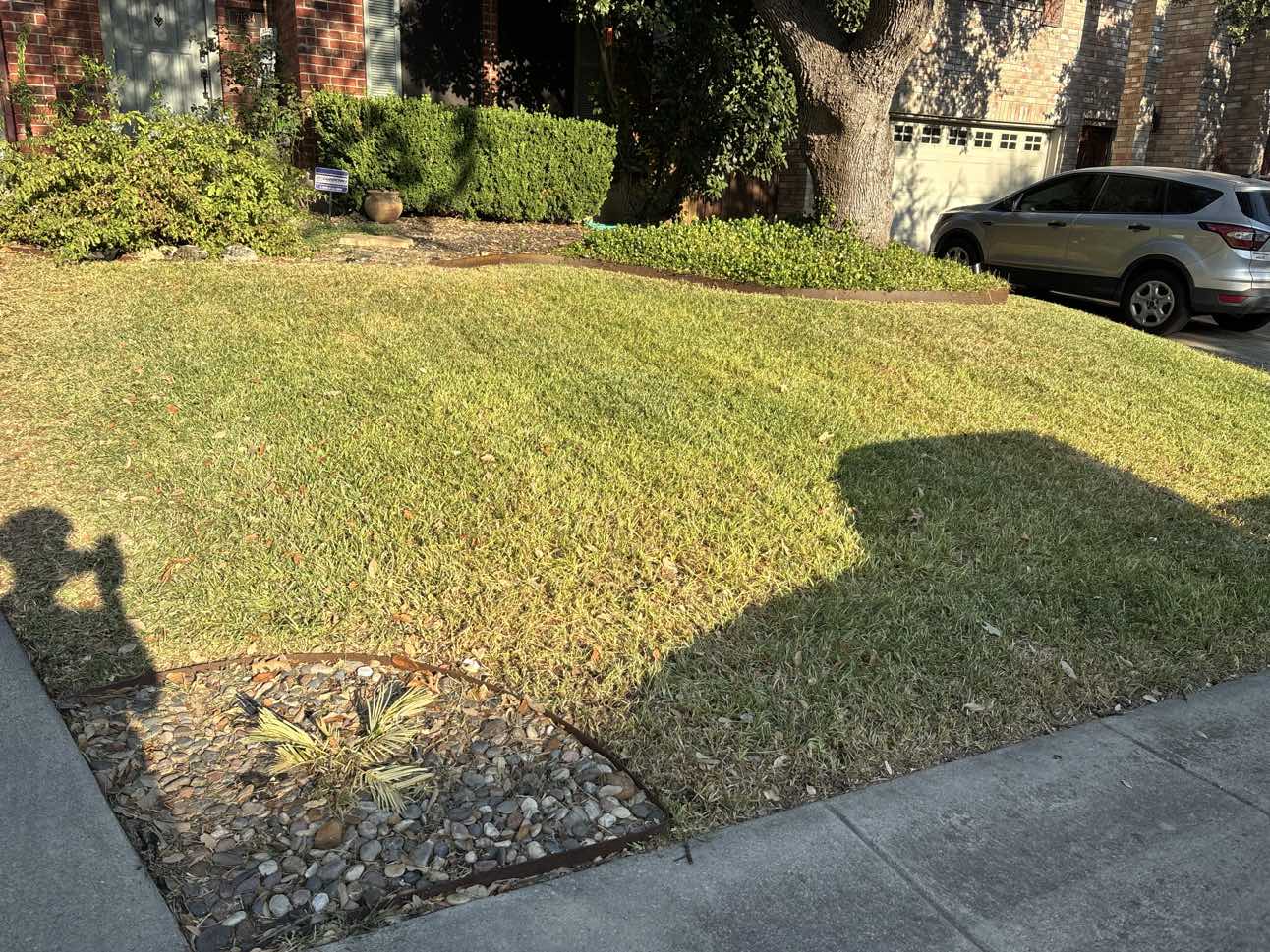 Freshly mowed residential front lawn with edged walkway and trimmed hedges by Urban Landscaping San Antonio