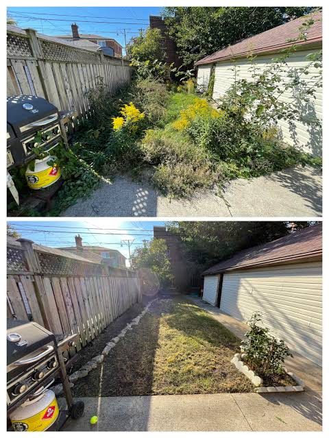 Before and after side yard cleanup showing overgrown weeds removed and fresh mulch stone edging installed by Urban Landscaping San Antonio